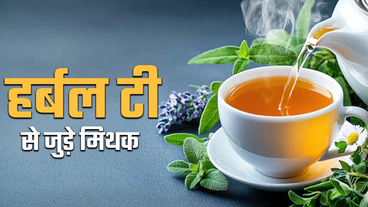 हर्बल टी से जुड़े इन 5 मिथकों पर न करें भरोसा, एक्‍सपर्ट से जानें सच्चाई