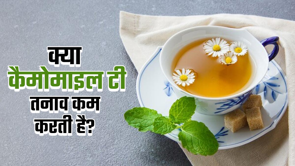 क्या कैमोमाइल चाय तनाव को कम कर सकती है? एक्सपर्ट से जानें