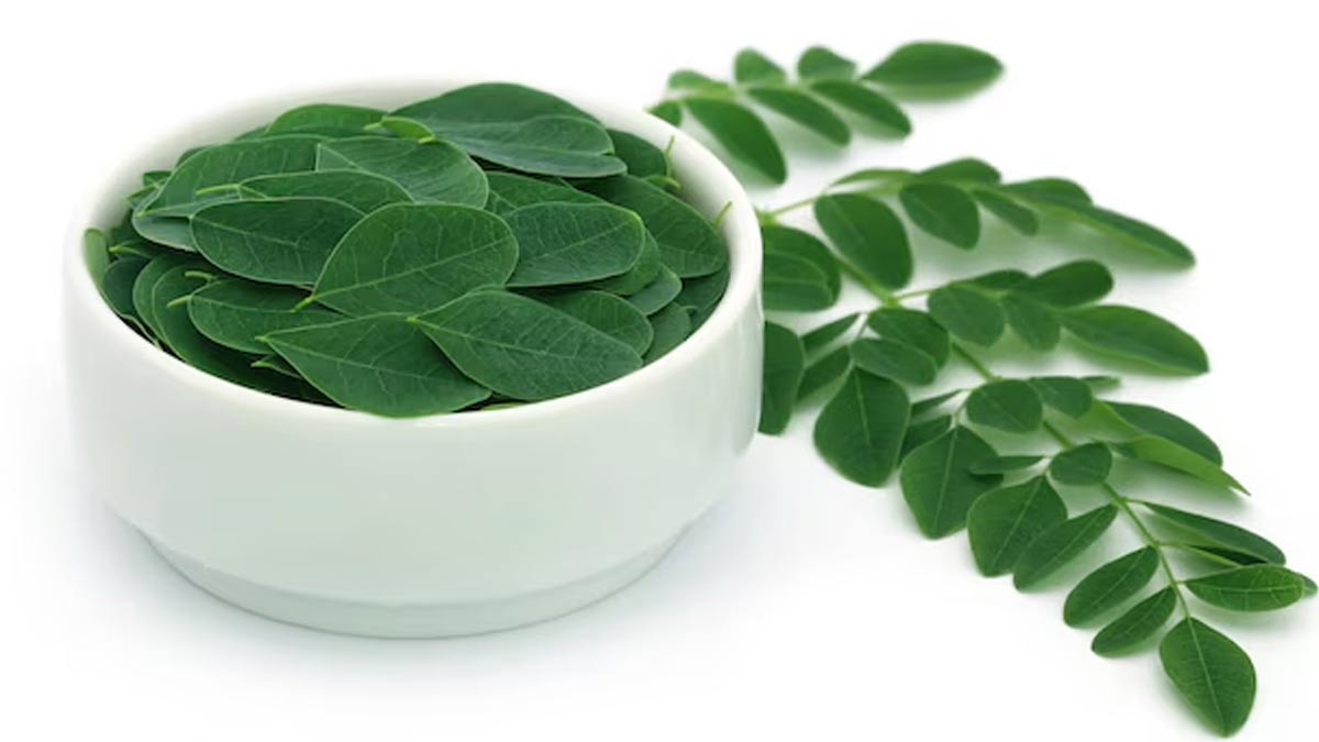 Benefits of moringa leaves to reduce stress in