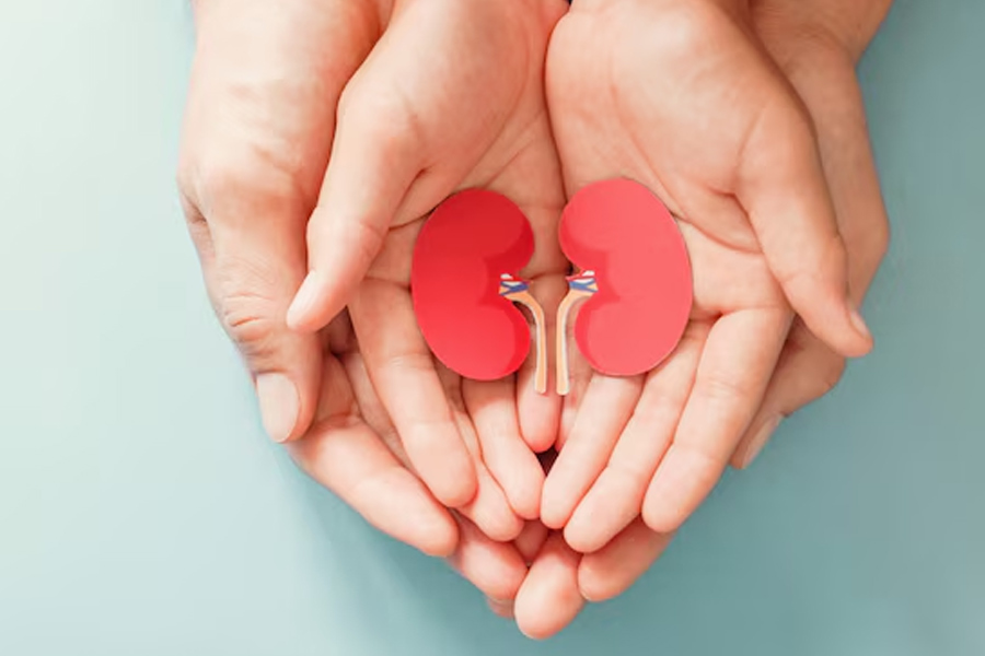 what kidney problems can shilajit cause in hindi 1