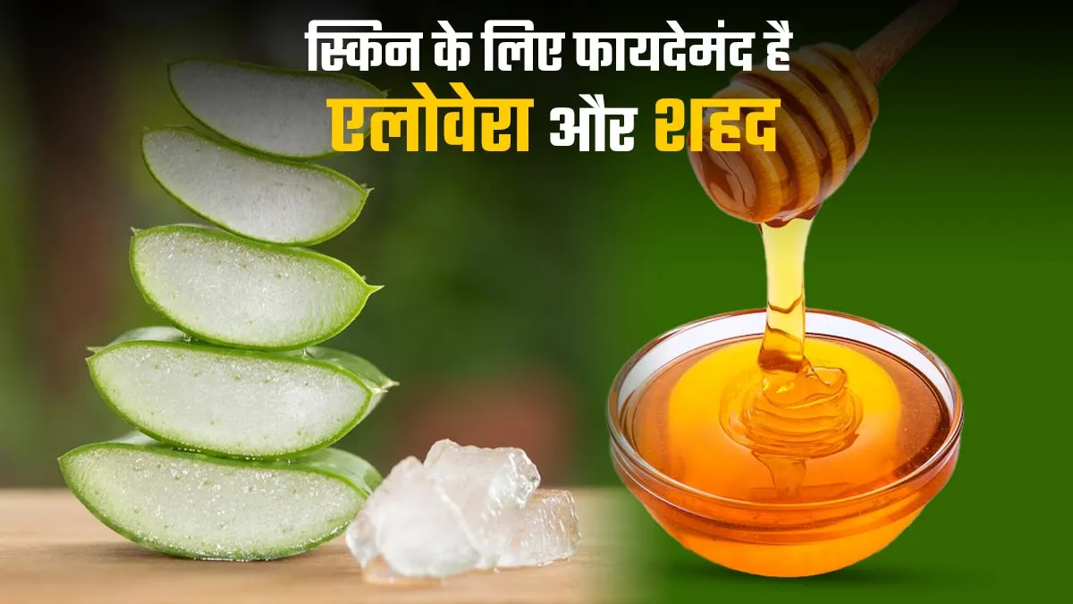 बेसन, एलोवेरा जेल और शहद के इस्तेमाल से स्किन को मिलते हैं कई लाभ