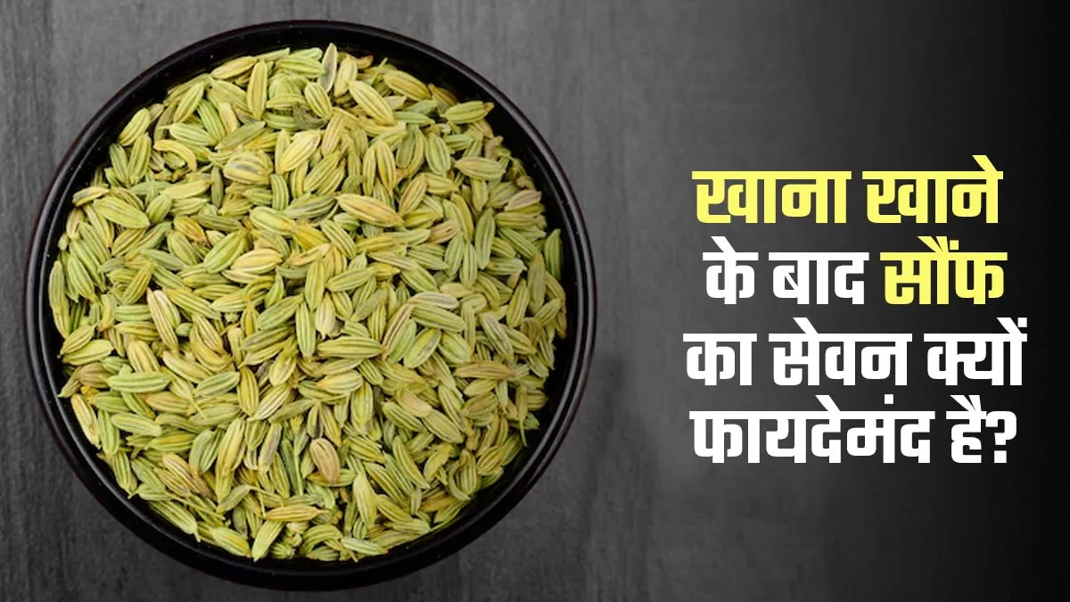 खाना खाने के बाद सौंफ का सेवन क्यों फायदेमंद है? आयुर्वेदाचार्य से जानें