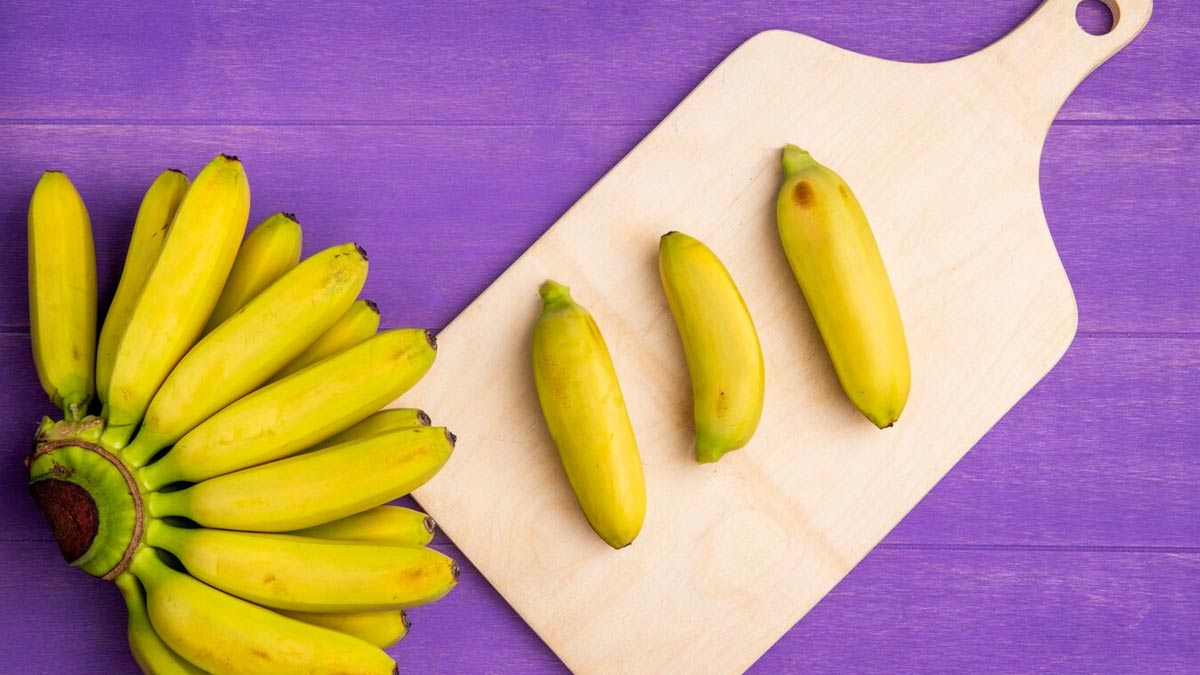 01 - 2025-06-12T122122.375