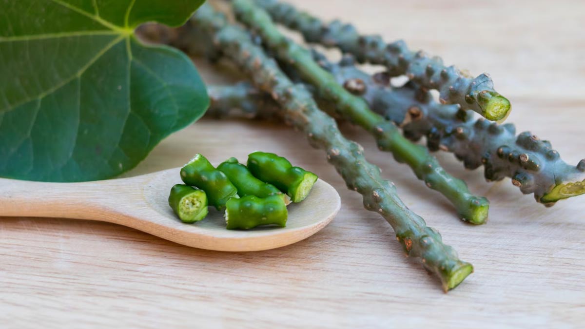 is giloy beneficial for fatty liver in hindi 01 (3)