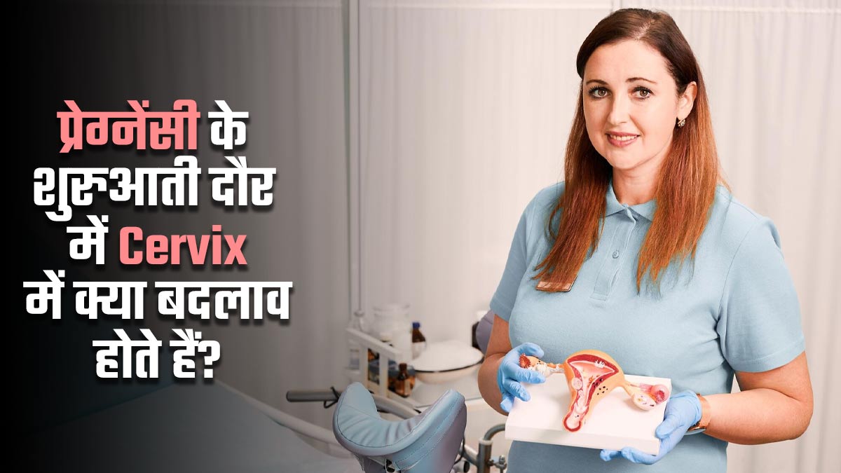 प्रेग्नेंसी के शुरुआती दौर में गर्भाशय ग्रीवा (cervix) में क्या बदलाव होते हैं? डॉक्टर से जानें