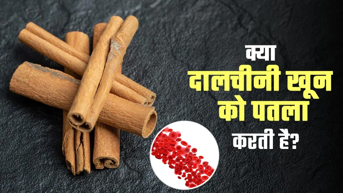 क्या दालचीनी खून को पतला करती है? एक्सपर्ट से जानें