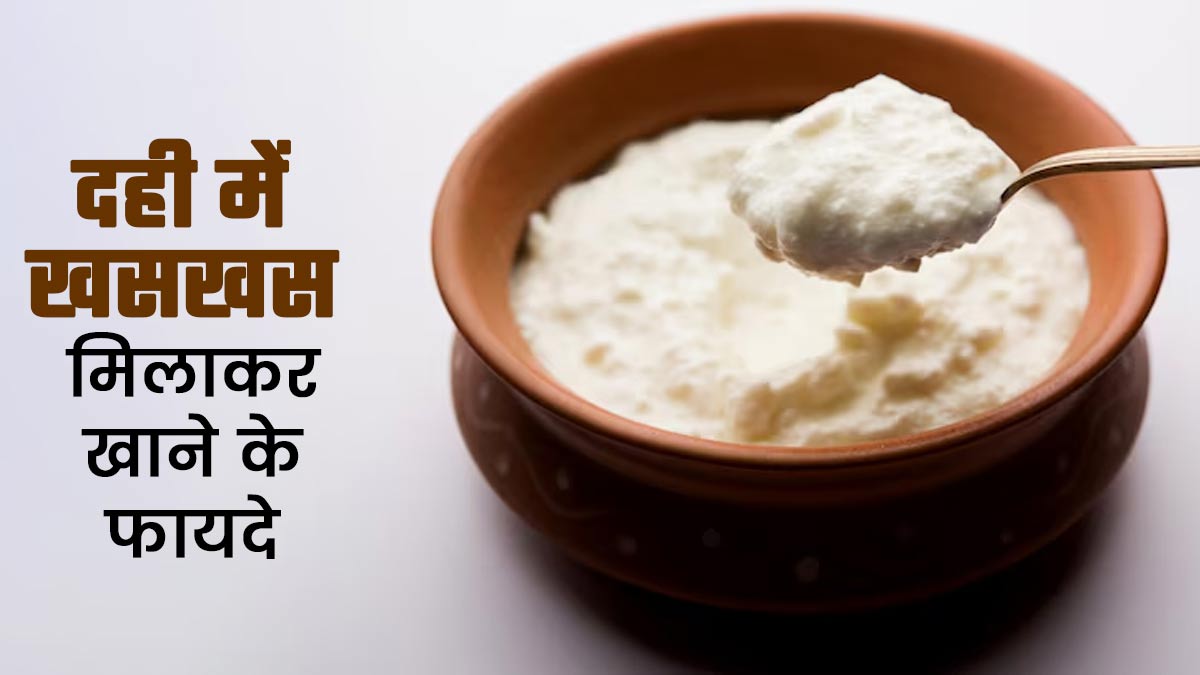 दही में खसखस मिलाकर खाने से सेहत को मिलते हैं ये 5 फायदे, जानें एक्सपर्ट से