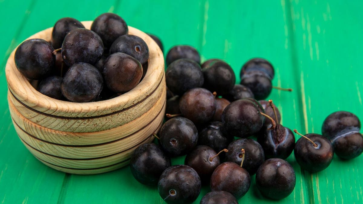 01 - 2025-06-13T175510.329