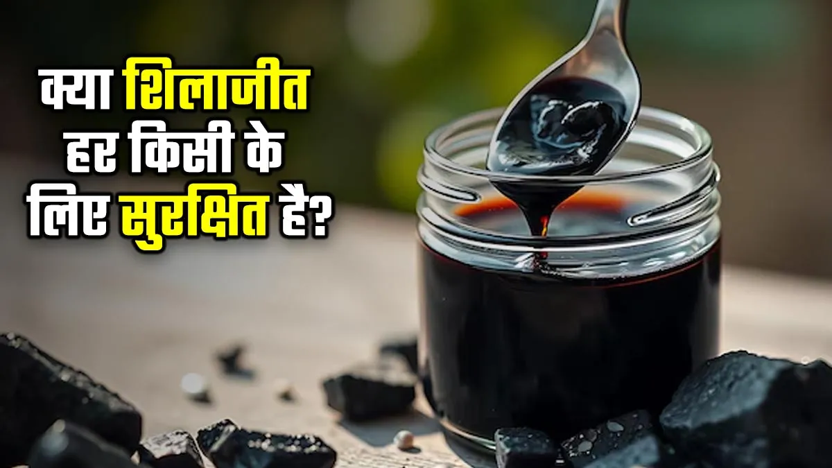 क्या हर किसी के लिए सुरक्षित है शिलाजीत? आयुर्वेदाचार्य से जानें