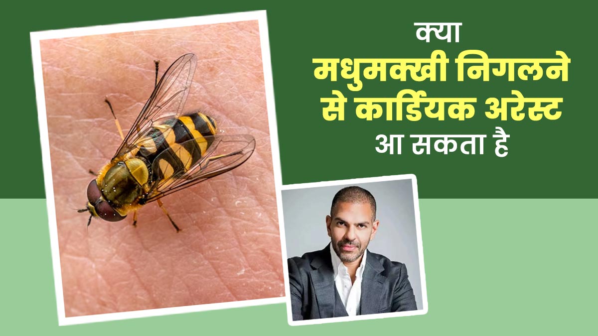 मधुमक्खी निगलने से संजय कपूर को हुआ कार्डियक अरेस्ट: रिपोर्ट, डॉक्टर से जानें क्या सच में ऐसा हो सकता है?