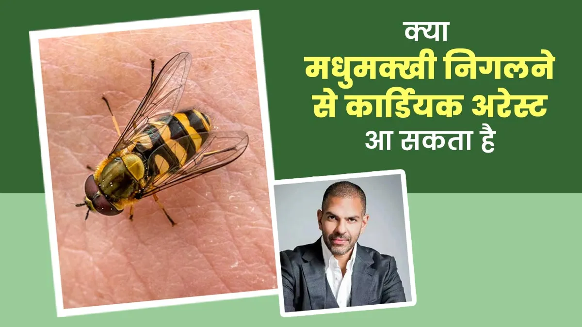 मधुमक्खी निगलने से संजय कपूर को हुआ कार्डियक अरेस्ट: रिपोर्ट, डॉक्टर से जानें क्या सच में ऐसा हो सकता है?