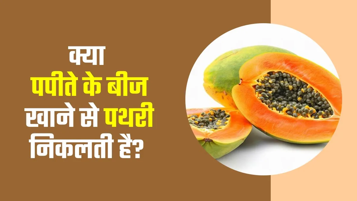 क्या पपीते के बीज खाने से पथरी निकलती है? एक्सपर्ट से जानें जवाब