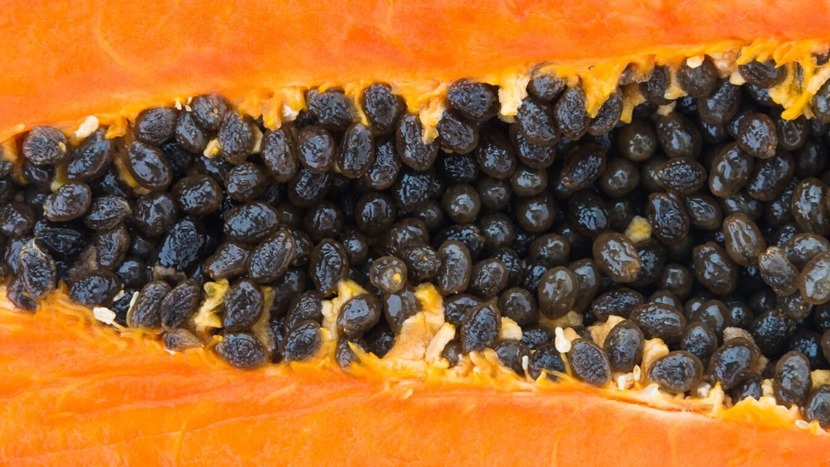 01 - 2025-06-14T083436.320