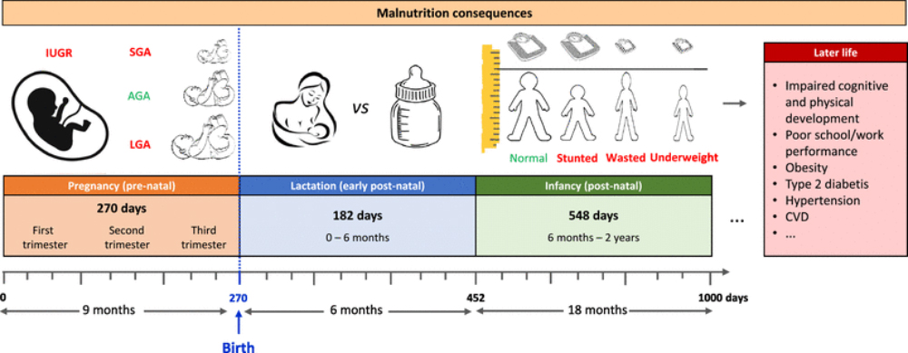 1000-days-of-nutrition