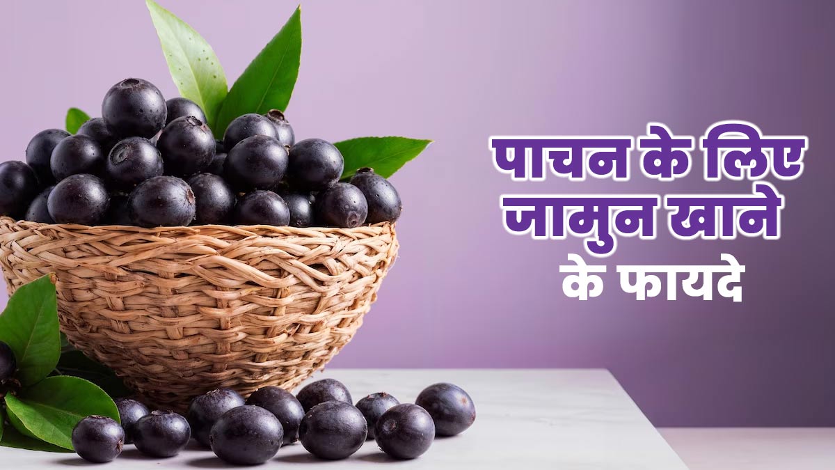 जामुन खाने से पेट और पाचन को म‍िलते हैं ये 7 फायदे, एक्‍सपर्ट से जानें सेवन का सही तरीका