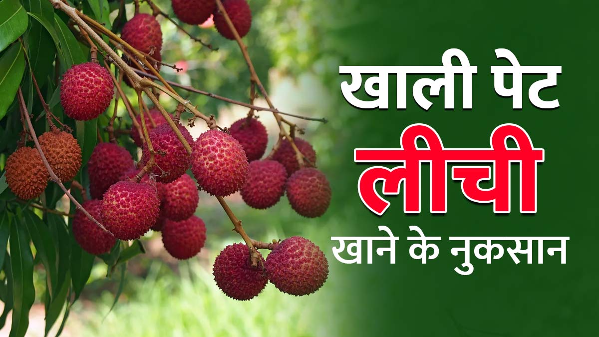 बच्चों को खाली पेट लीची खिलाना पड़ सकता है भारी, बिहार में आ चुके हैं कई बच्चों की मौत के मामले