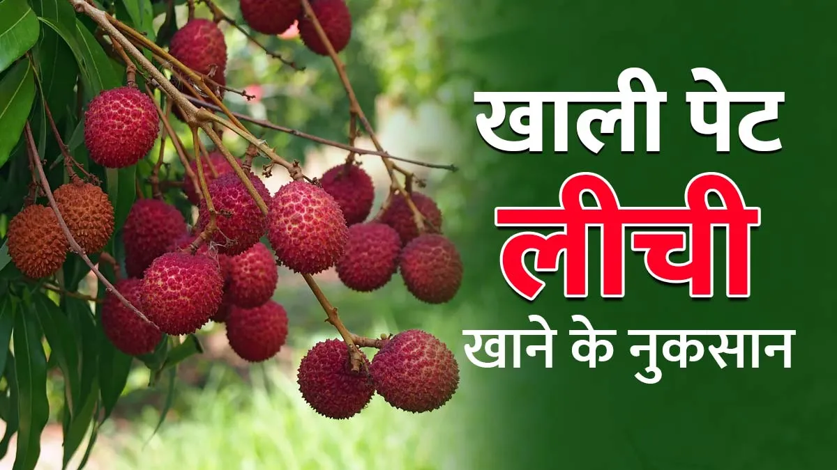 बच्चों को खाली पेट लीची खिलाना पड़ सकता है भारी, बिहार में आ चुके हैं कई बच्चों की मौत के मामले