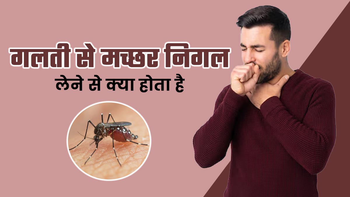 गलती से मच्छर निगल लेने से क्या होता है? बता रहे हैं डॉक्टर