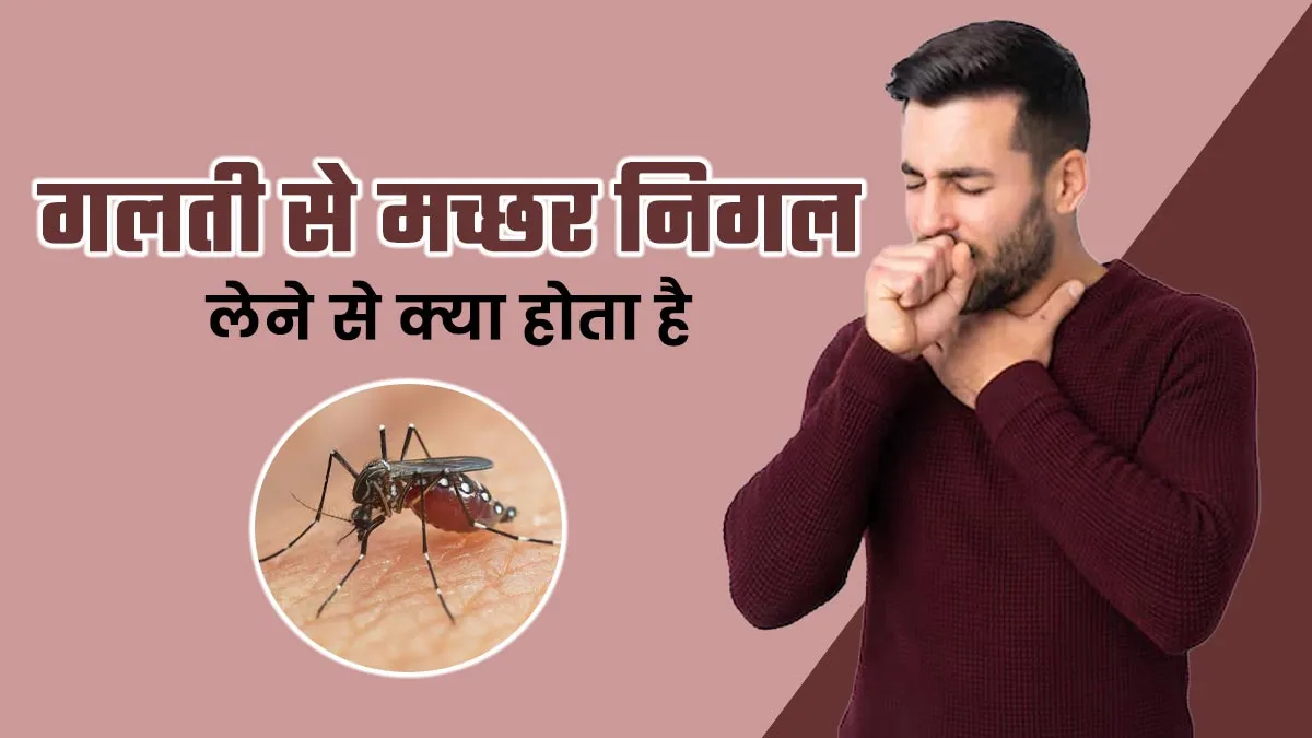 गलती से मच्छर निगल लेने से क्या होता है? बता रहे हैं डॉक्टर