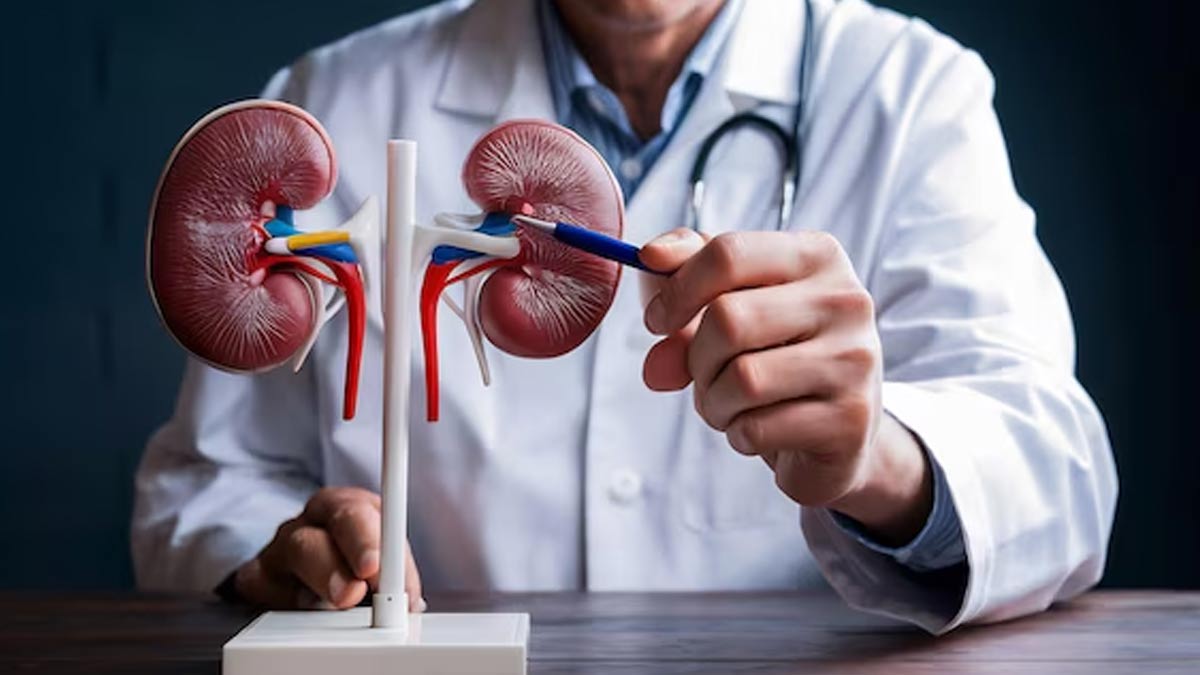 Can high uric acid affect kidney health in
