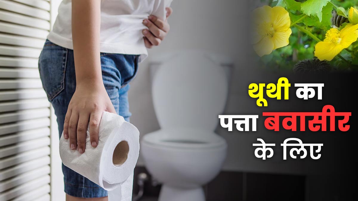 थूथी का पत्ता बवासीर के मरीजों के लिए कितना कारगर? एक्सपर्ट से जानें सेवन का तरीका और फायदे
