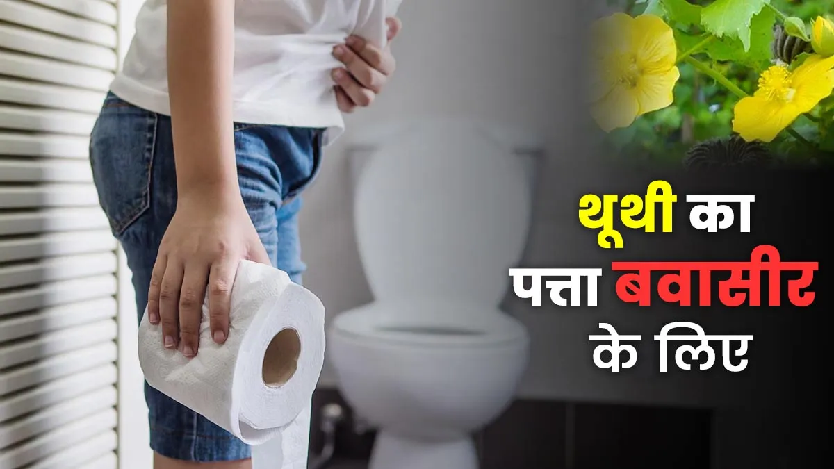 थूथी का पत्ता बवासीर के मरीजों के लिए कितना कारगर? एक्सपर्ट से जानें सेवन का तरीका और फायदे