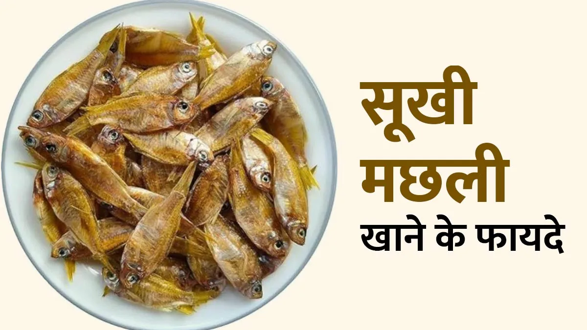 सूखी मछली खाने से सेहत को मिलते हैं ये 7 फायदे, जानें खाने का सही तरीका