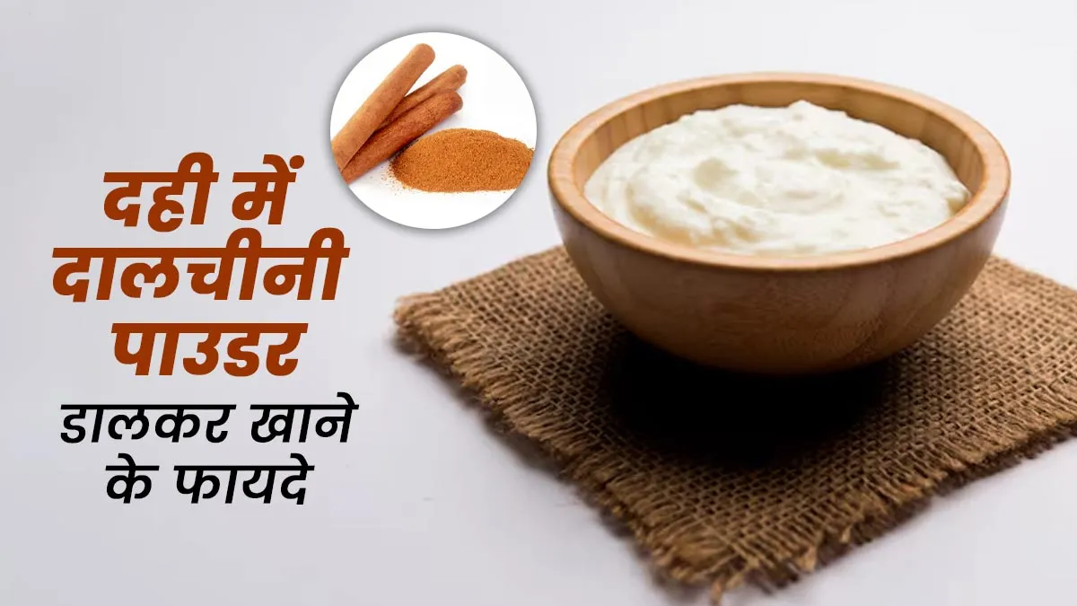 दही के साथ दालचीनी पाउडर को खाने के क्या फायदे हैं? जानें एक्सपर्ट से