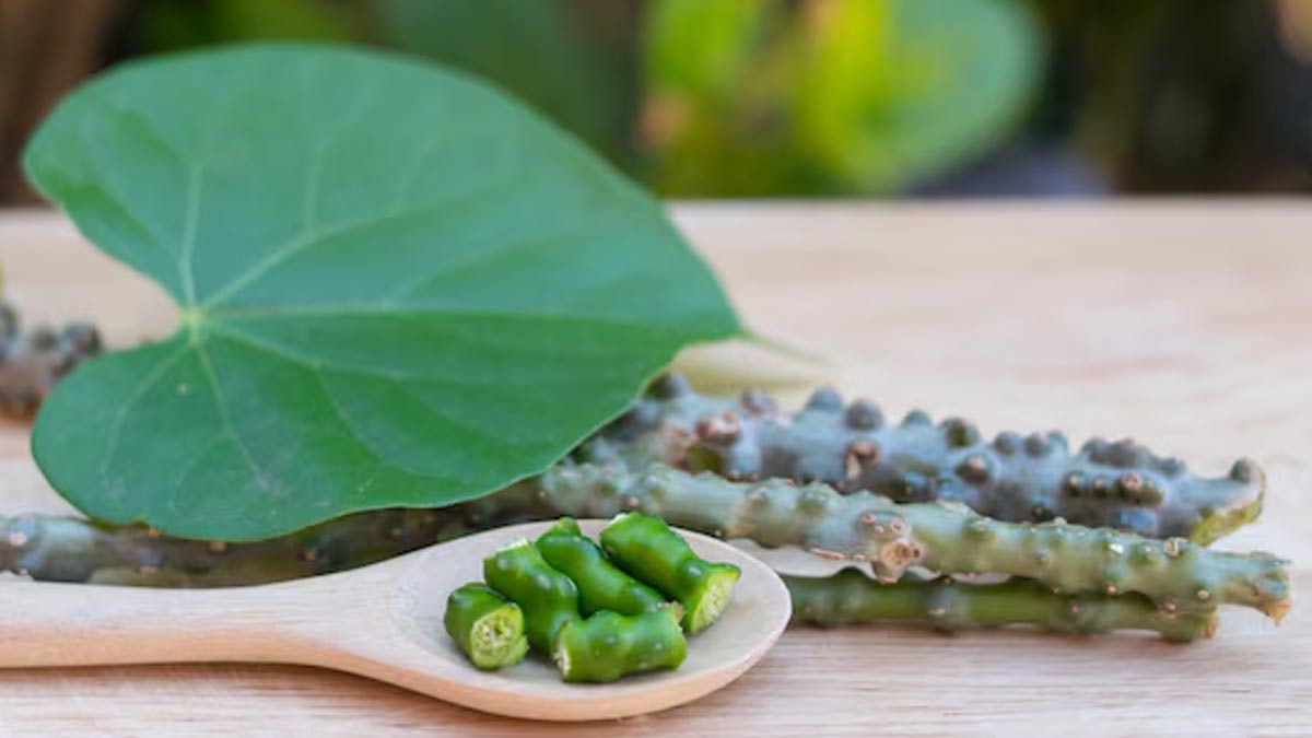 benefits of giloy ashwagandha tulsi in hindi 01 (3)