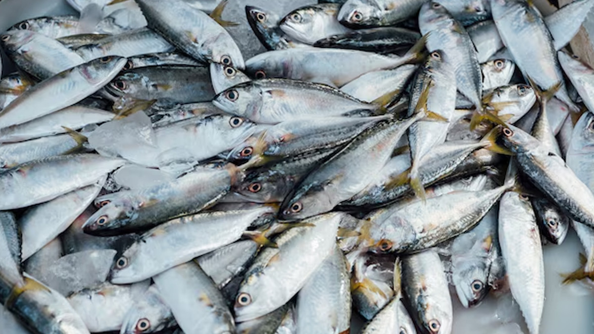 dry-fish-inside