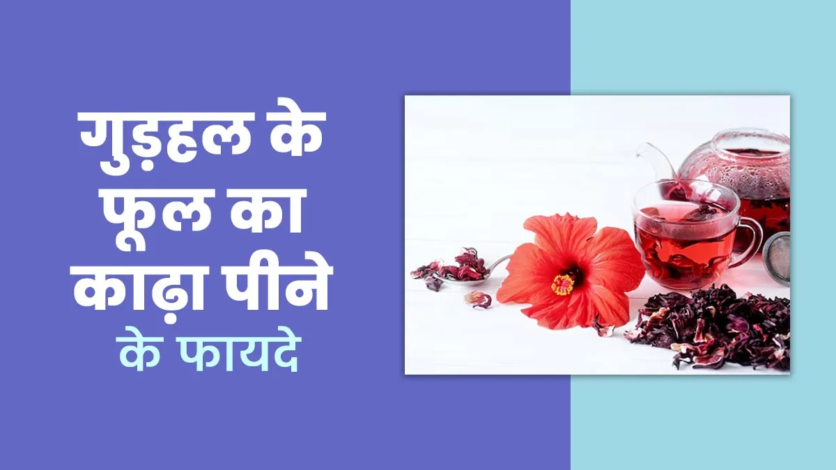 गुड़हल के फूल का काढ़ा पीने के क्या फायदे हैं? एक्सपर्ट से जानें