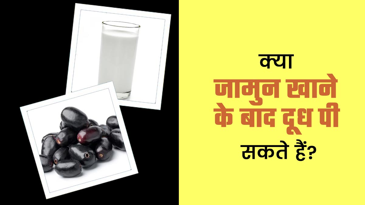 जामुन खाने के बाद दूध पी सकते हैं क्या? एक्सपर्ट से जानें