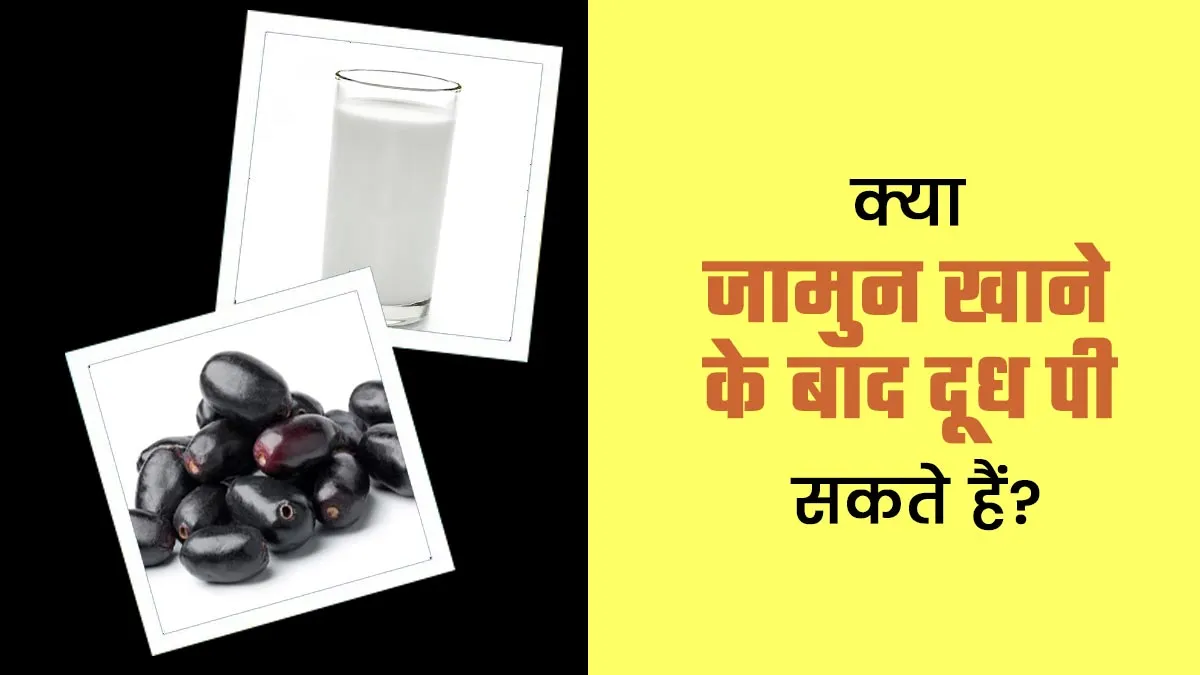 जामुन खाने के बाद दूध पी सकते हैं क्या? एक्सपर्ट से जानें
