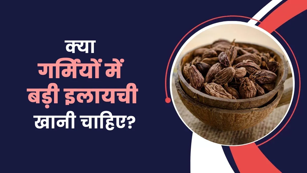 क्या गर्मियों में बड़ी इलायची का सेवन करना चाहिए? जानें आयुर्वेदाचार्य से
