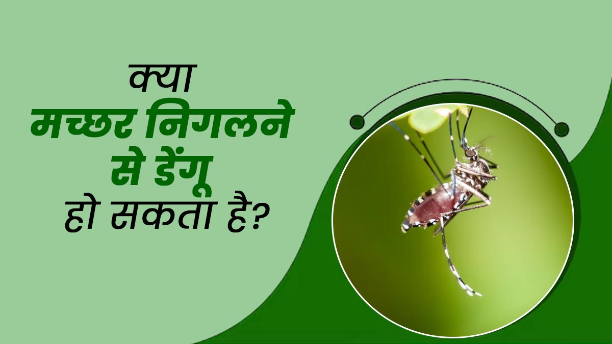 क्या मच्छर को निगलने से डेंगू हो सकता है? जानें सच्चाई और जरूरी जानकारी