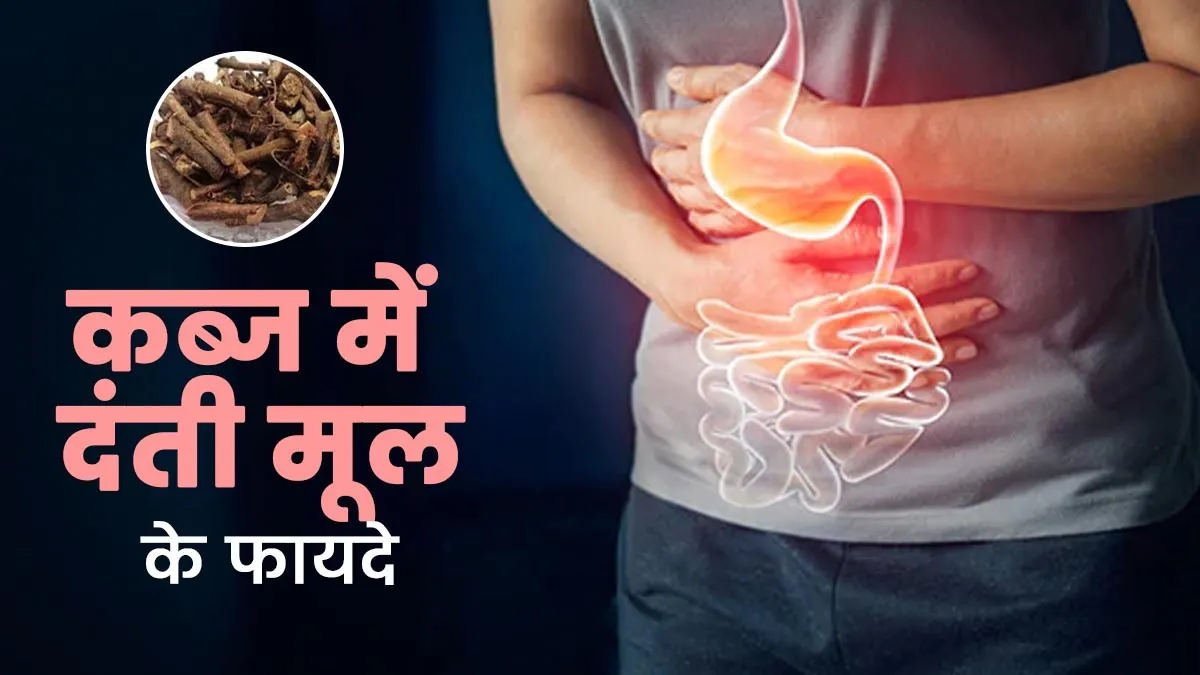 कब्ज से राहत दिलाने में मददगार है दंती मूल, इन 3 तरीकों से करें सेवन
