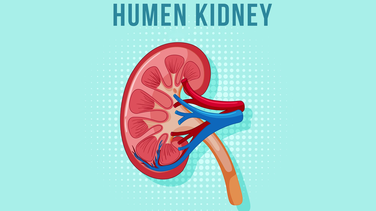 world kidney cancer day-inside