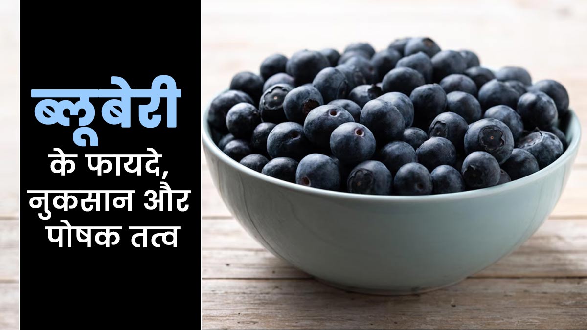 स्वास्थ्य के लिए फायदेमंद है ब्लूबेरी, एक्सपर्ट से जानें इसमें मौजूद पोषक तत्व, फायदे और नुकसान