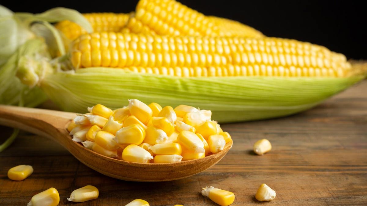 01 - 2025-06-20T190619.631