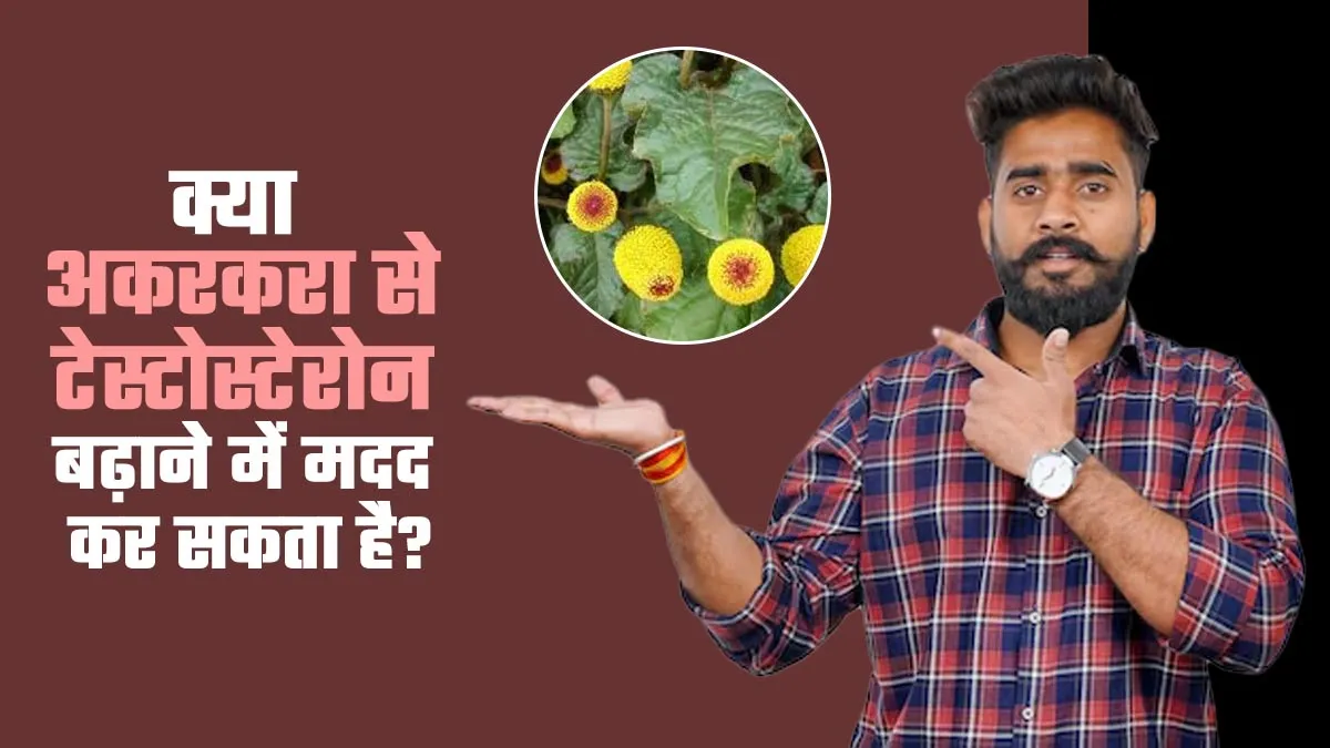 क्या अकरकरा से टेस्टोस्टेरोन बढ़ाने में मदद कर सकता है? डॉक्टर से जानें