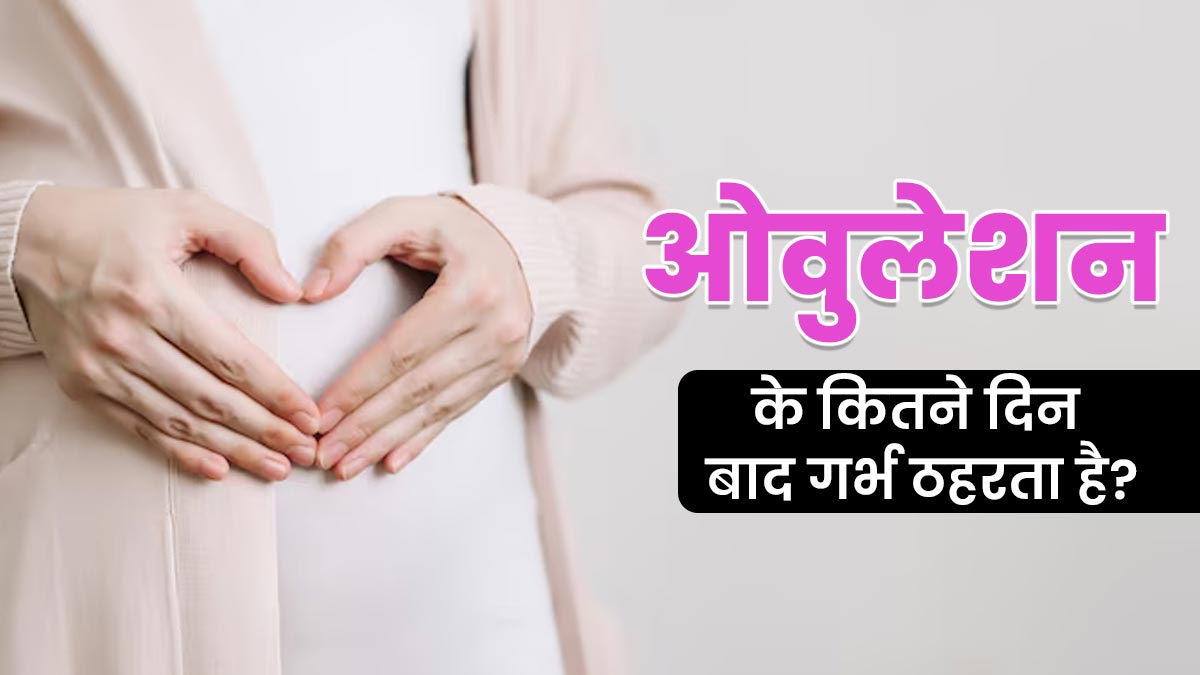 ओवुलेशन के बाद अंडा कितने दिन तक जिंदा रहता है? जानें कितने दिन बाद गर्भ ठहरता है