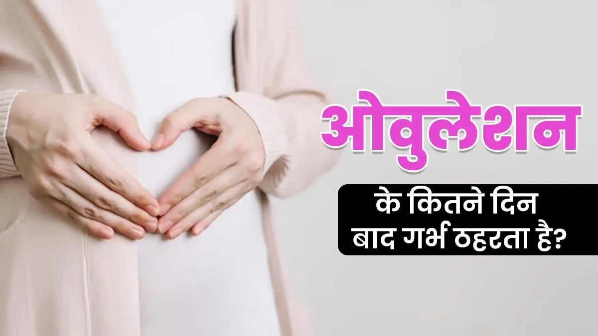 ओवुलेशन के बाद अंडा कितने दिन तक जिंदा रहता है? जानें कितने दिन बाद गर्भ ठहरता है
