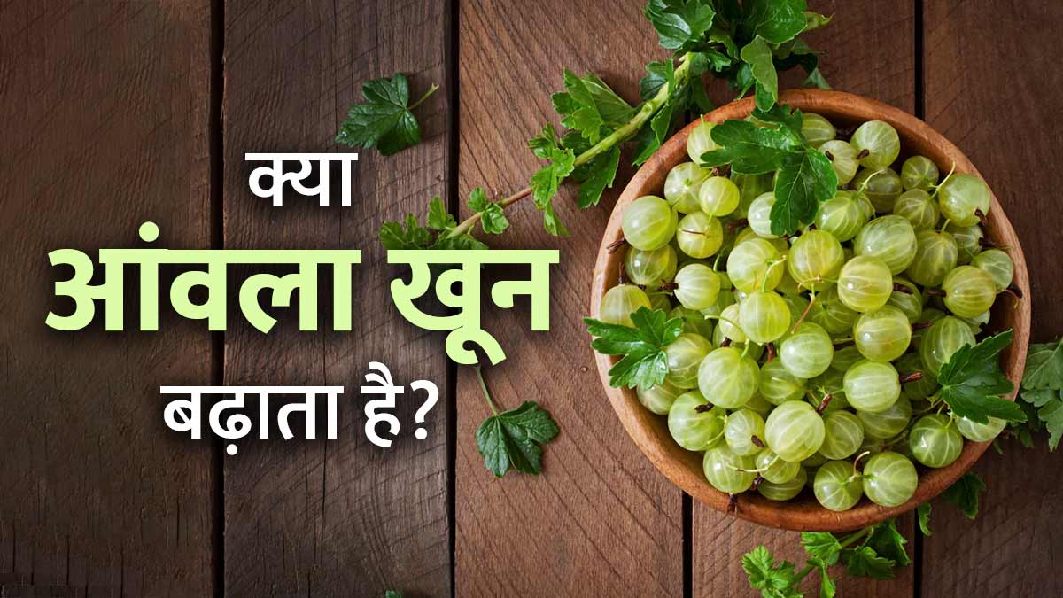 क्या रोज आंवला खाने से खून बढ़ता है? एक्सपर्ट से जानें