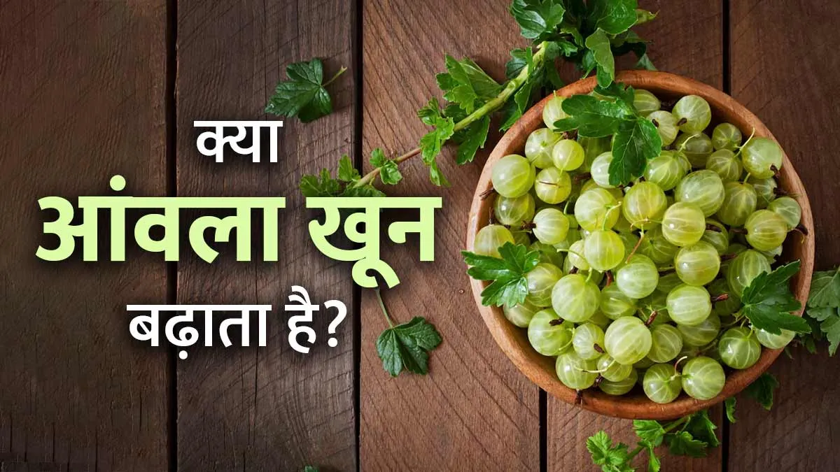 क्या रोज आंवला खाने से खून बढ़ता है? एक्सपर्ट से जानें