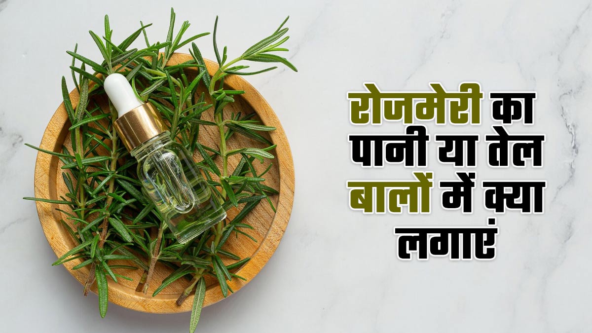 रोजमेरी का पानी या तेल, बालों के लिए बेहतर क्या है? एक्सपर्ट से जानें और फिर करें इस्तेमाल