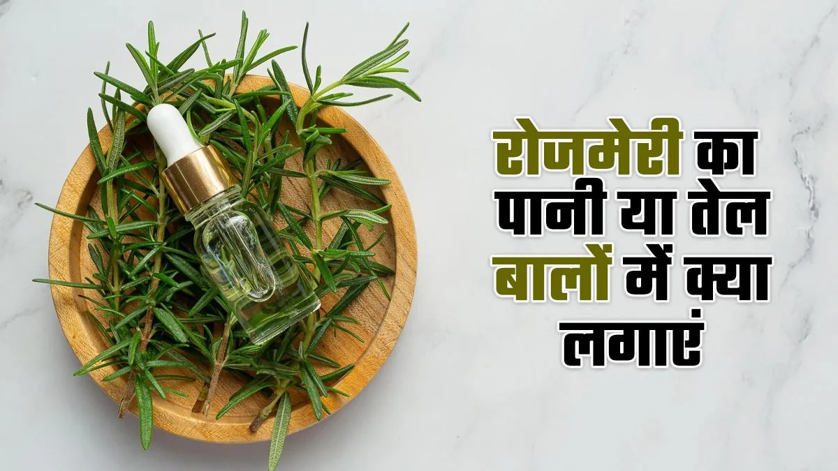 रोजमेरी का पानी या तेल, बालों के लिए बेहतर क्या है? एक्सपर्ट से जानें और फिर करें इस्तेमाल