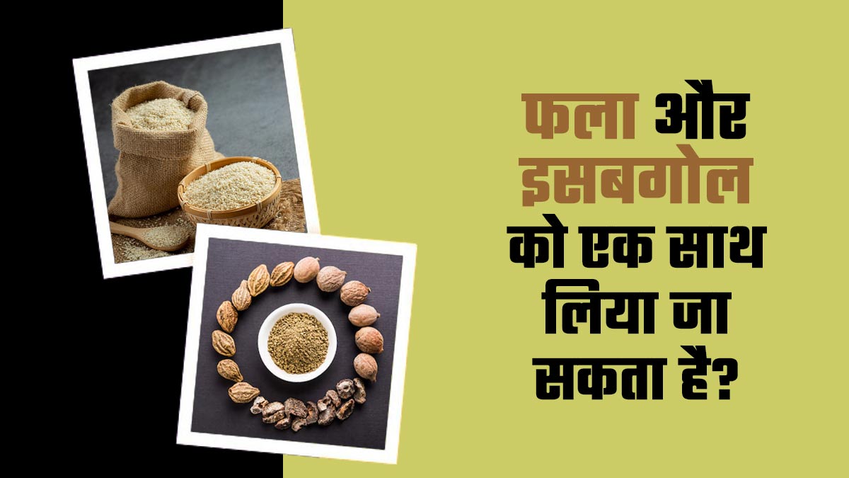 क्या त्रिफला और इसबगोल को एक साथ लिया जा सकता है? एक्सपर्ट से जानें