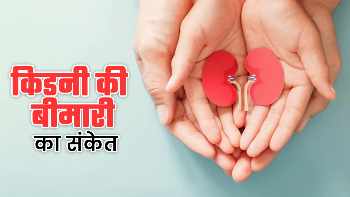 शरीर में दिखने वाले ये 5 लक्षण हो सकते हैं किडनी की बीमारी का संकेत, एक्सपर्ट से जानें बचाव का तरीका