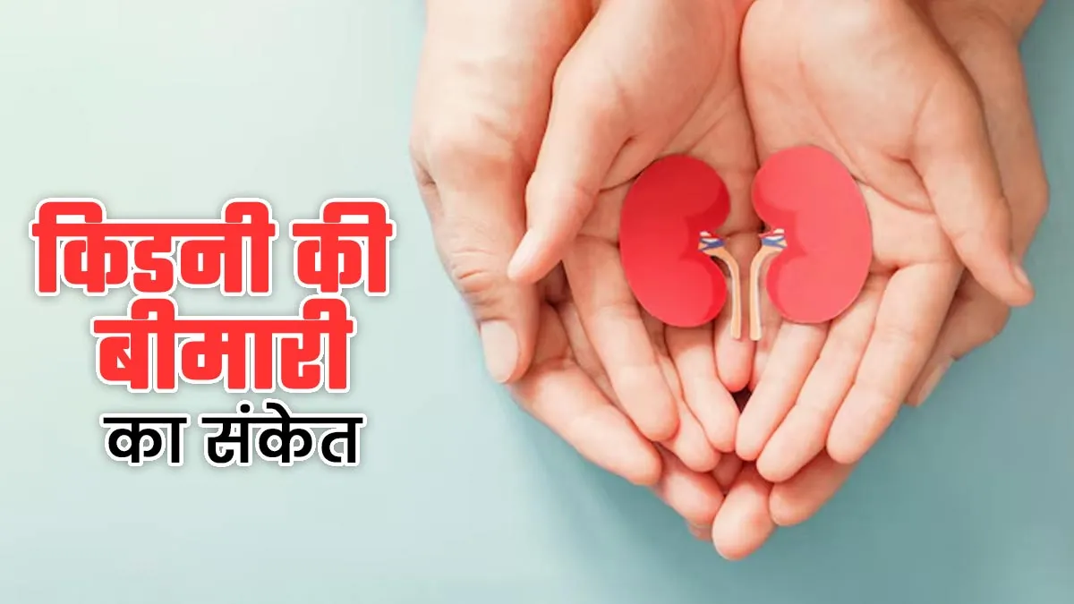 शरीर में दिखने वाले ये 5 लक्षण हो सकते हैं किडनी की बीमारी का संकेत, एक्सपर्ट से जानें बचाव का तरीका