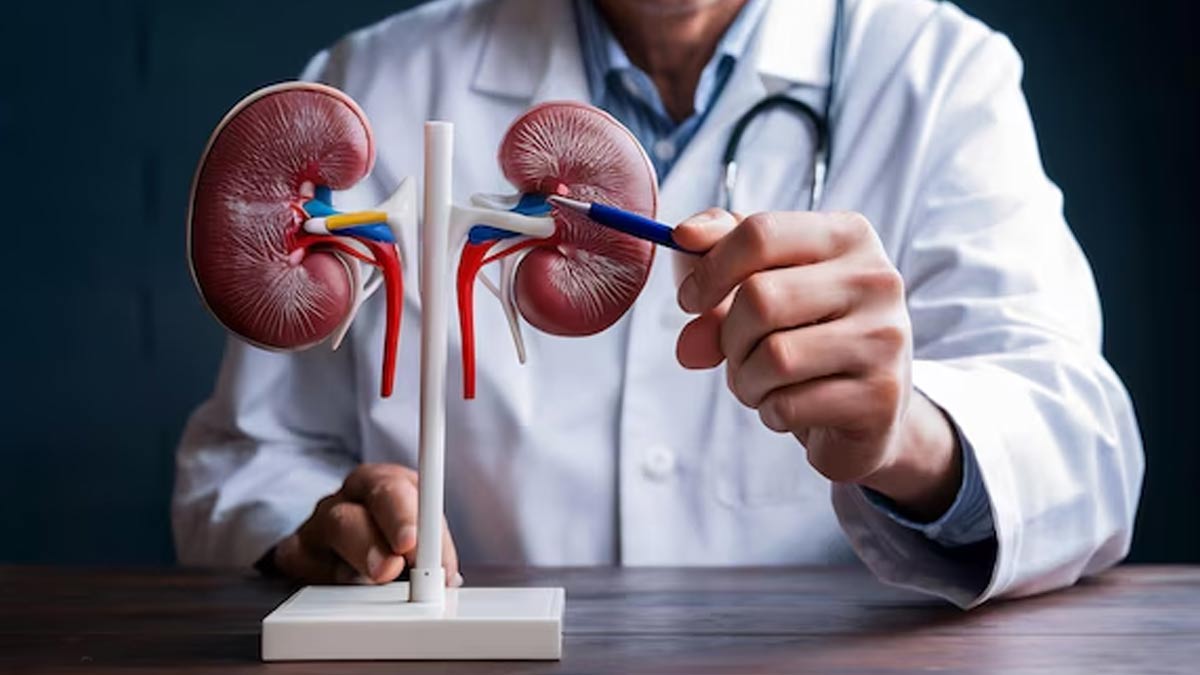 किडनी की बीमारी का प्रमुख संकेत क्या है | Signs your Kidneys need more Attention in hindi signs-your-kidneys-need-more-attention-inside
